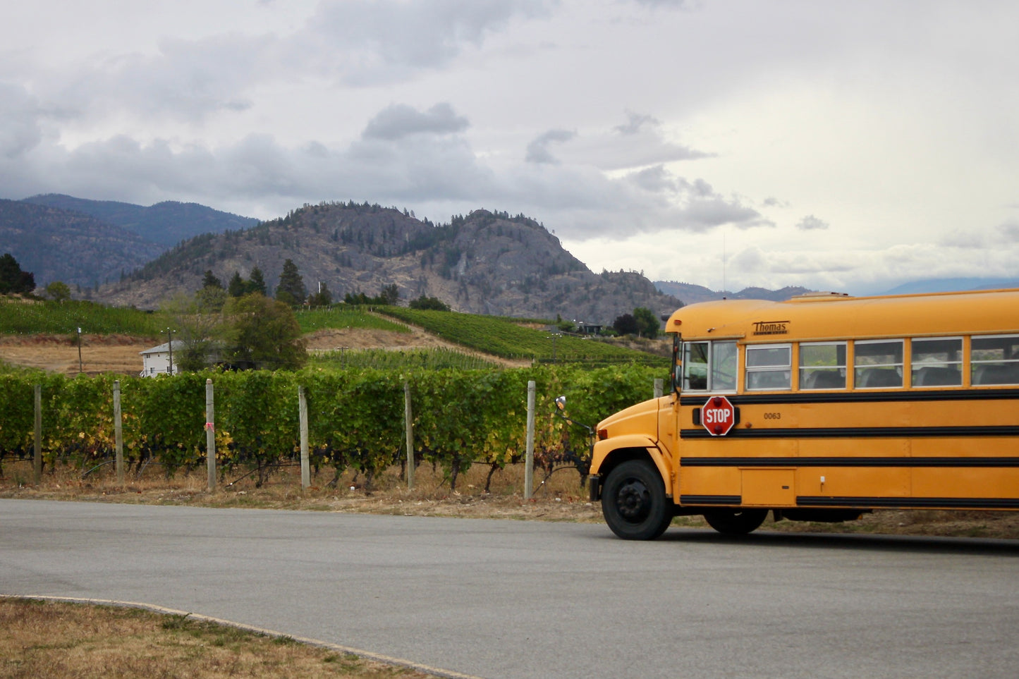 2026 PIG OUT Trails TOUR