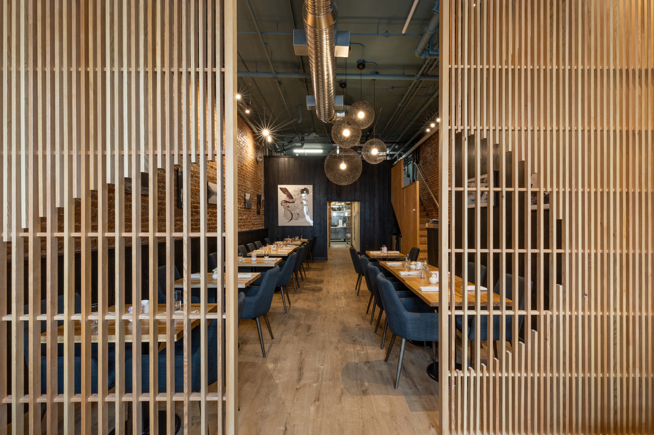 Savour the Sun - Ugly Duckling