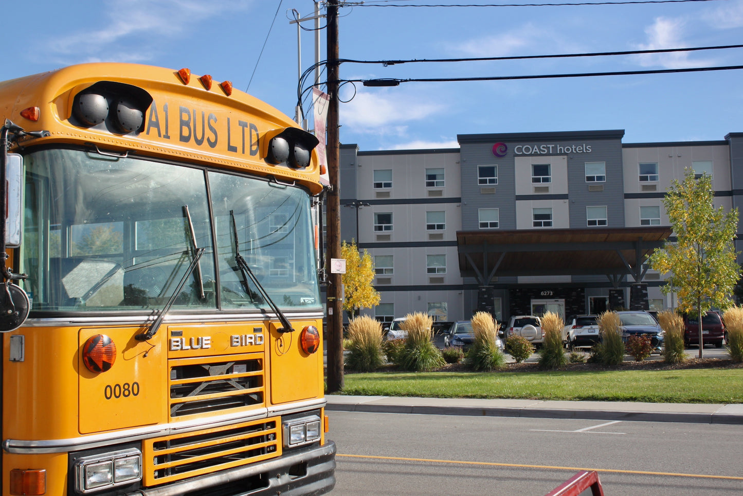 2026 Pig Out Festival - Transportation Ticket