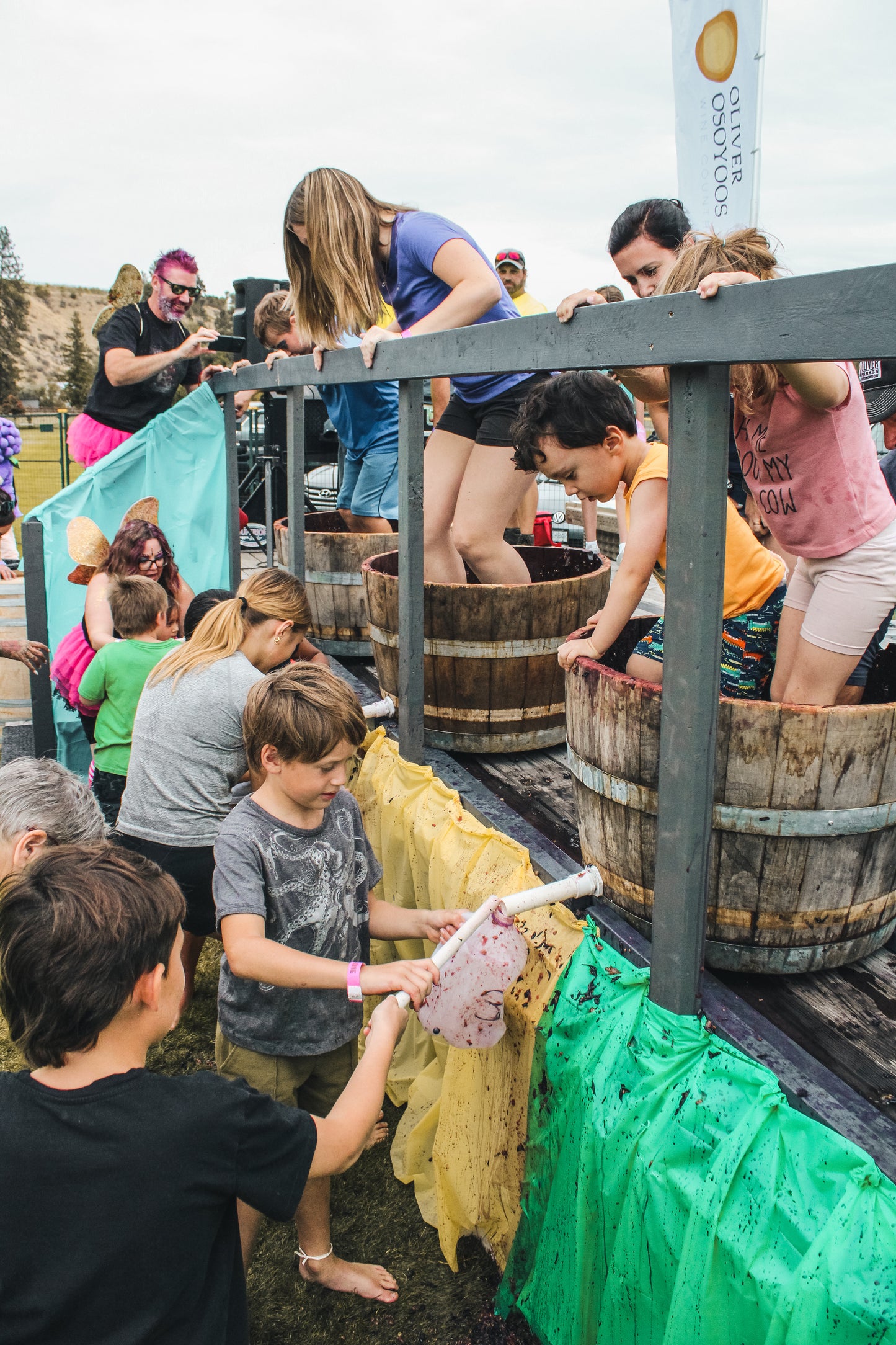 25 YOUTH Grape Stomp